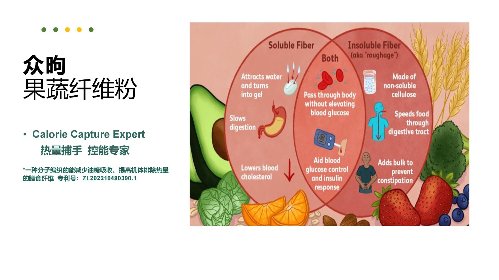 FibGel果蔬纤维产品介绍_00002.jpg