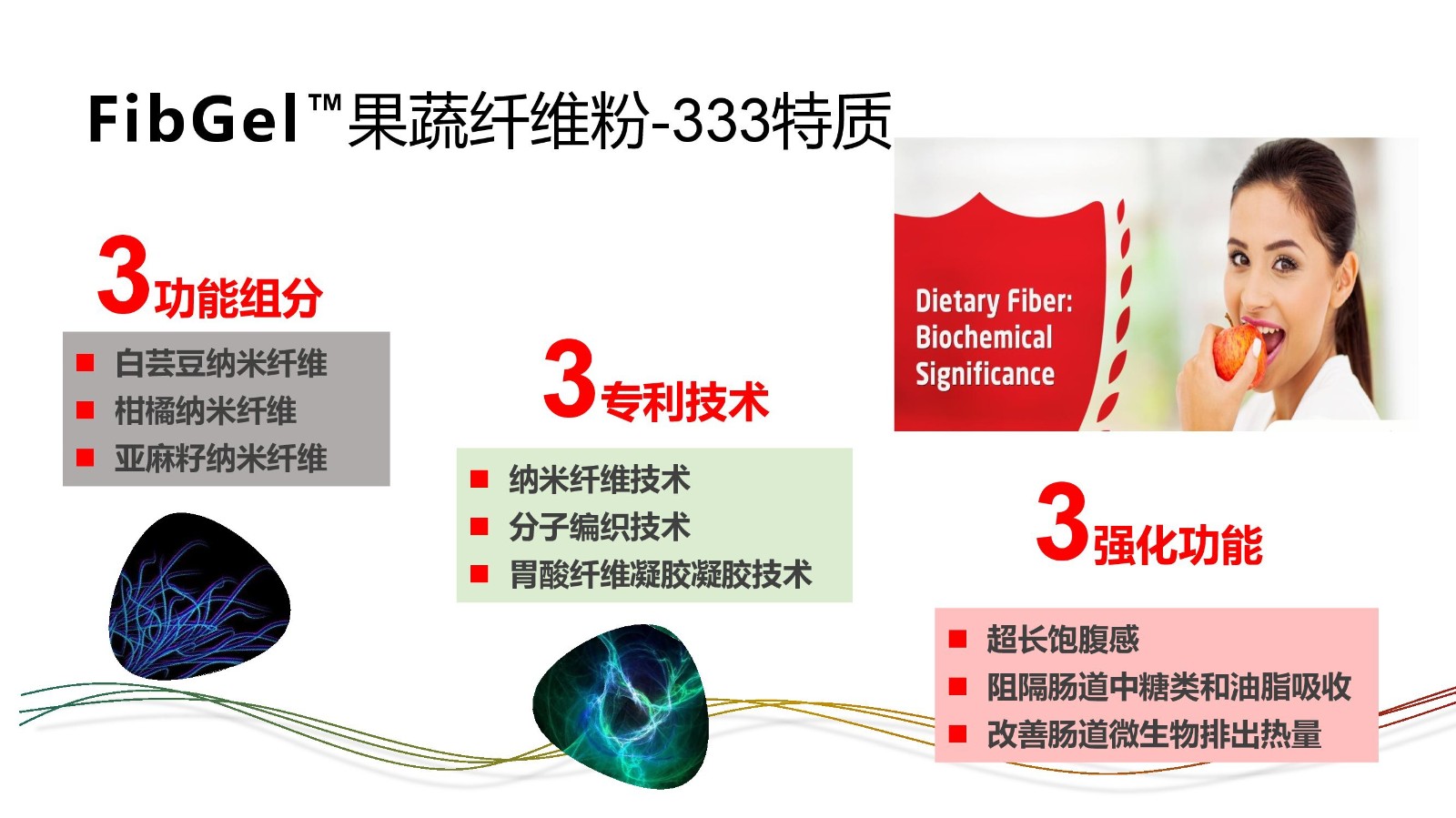FibGel果蔬纤维产品介绍_00003.jpg