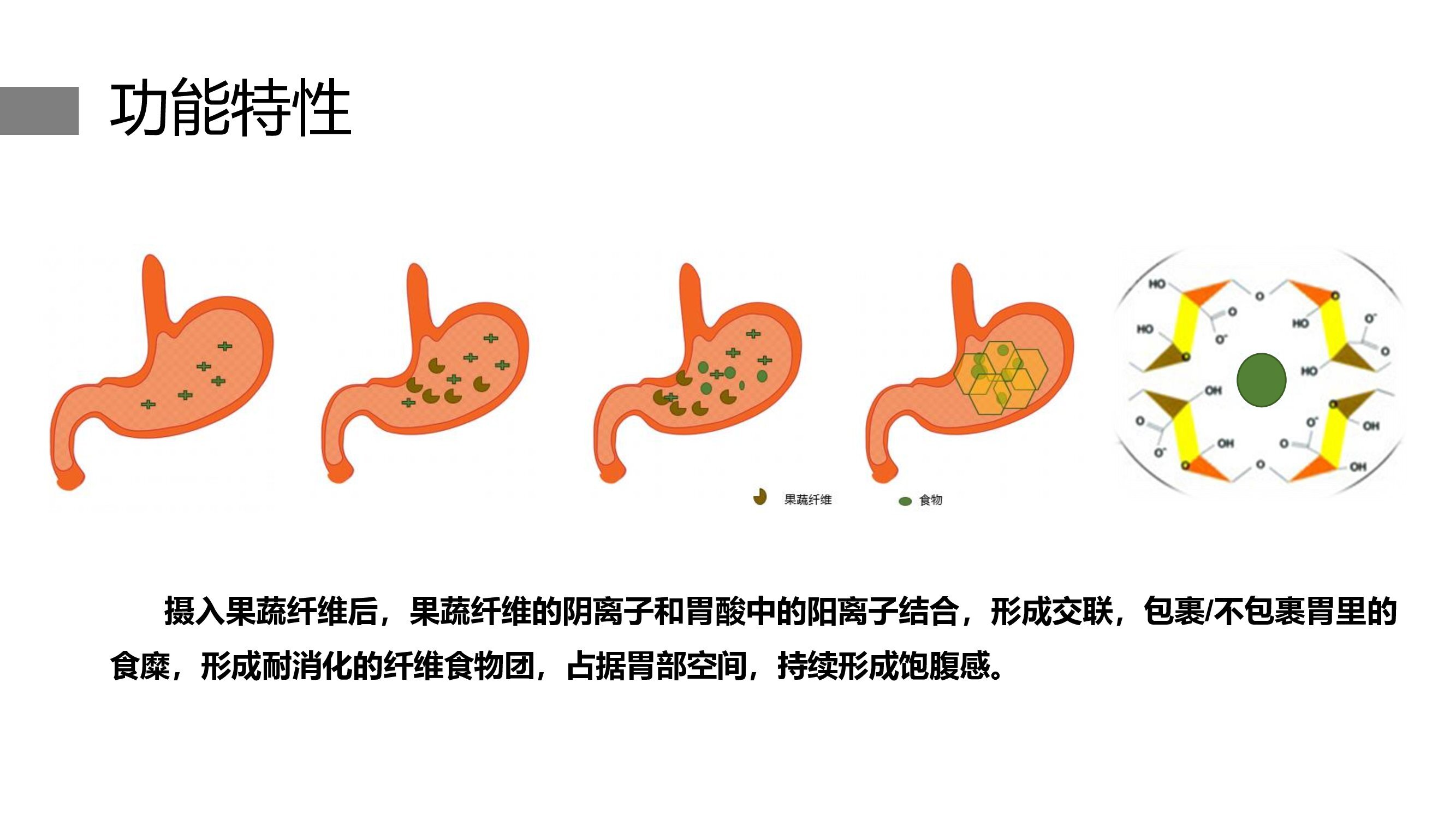 FibGel果蔬纤维产品介绍_00005.jpg