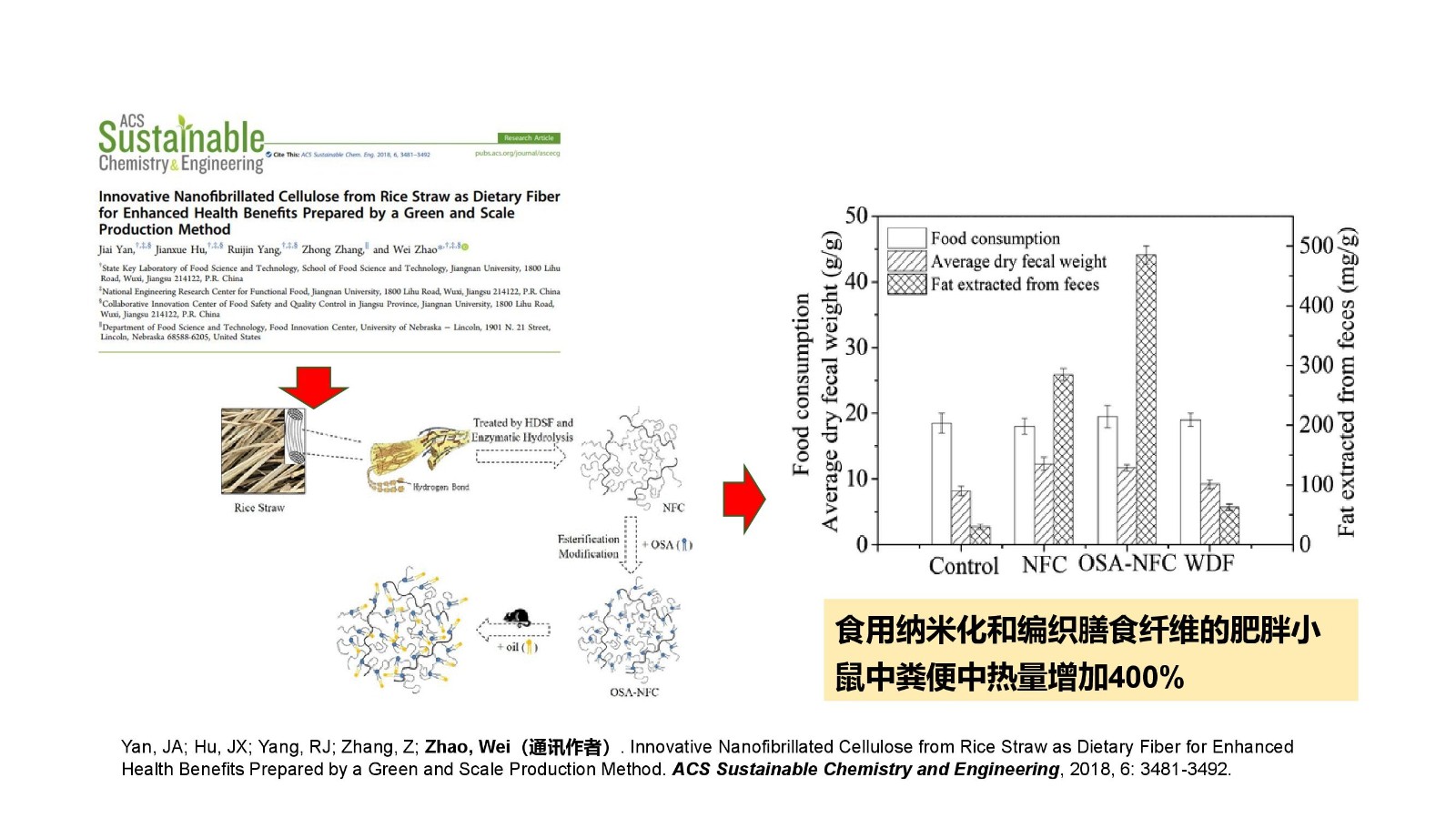FibGel果蔬纤维产品介绍_00007.jpg